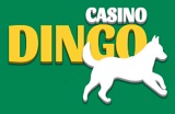 Dingo